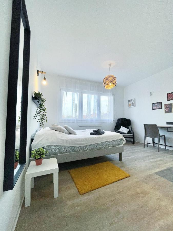 Le Paradis Fiscal, 5Min Bale, Parking Prive Saint-Louis  Exterior foto